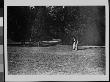 A Well-Dressed Woman Leaning Against A Tree On A Well-Manicured Lawn Next To A Country Road by Wallace G. Levison Limited Edition Print