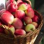 Apples In A Basket by Peo Quick Limited Edition Print