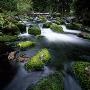 Mossy Stones In A Creek by Lars Dahlstrom Limited Edition Pricing Art Print