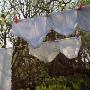 Underwear's Drying On A Clothesline by Lo Birgersson Limited Edition Pricing Art Print