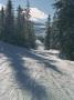 A Ski Slope And Trees In Trysil, Norway by Helena Bergengren Limited Edition Print