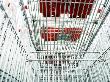 Shopping Trolleys by Gunnar Svanberg Skulasson Limited Edition Print