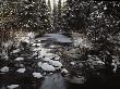 Partly Frozen Brook In A Forest, Pudasjarvi, Finland by Kalervo Ojutkangas Limited Edition Print