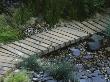 Chelsea Flower Show 2003, Designer: Sue Adcock: Wooden Boardwalk In Seaside Garden by Clive Nichols Limited Edition Print