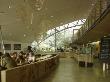 Eden Project, St Austell Cornwall, Interior Of Cafe At The Link Building by Charlotte Wood Limited Edition Print