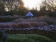 The Summerhouse Seen Across Frosted Grasses, Sedums And Hebes, Winter, Designer: Duncan Heather by Clive Nichols Limited Edition Print