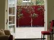 Roof Terrace With Red Wall And Betula Utilis Jacquemontii, Designer: Wynniatt - Husey Clarke by Clive Nichols Limited Edition Pricing Art Print