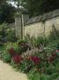 Oxford Botanic Garden Planted With Gladiolus Communis Byzantinus And Polygonum Bistorta Superbum by Clive Nichols Limited Edition Pricing Art Print