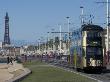 Trams Along The Promenade, Blackpool, Lancashire, England by Natalie Tepper Limited Edition Print