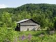 Farm Building, West Virginia by Natalie Tepper Limited Edition Pricing Art Print