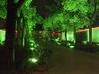 Night View, Garden, Nanjing, China by Natalie Tepper Limited Edition Print