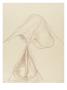 Parties Genitales D'un Cheval Et Indications De Mesures by Edme Bouchardon Limited Edition Print