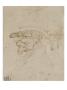 Tete D'homme De Profil A Gauche, Coiffe D'un Chapeau by Leonard De Vinci Limited Edition Print