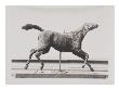 Photo D'une Sculpture En Cire De Degas:Cheval Au Galop Tournant La Tete A Droite,Les Pieds Ne by Ambroise Vollard Limited Edition Print