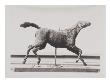 Photo D'une Sculpture En Cire De Degas:Cheval Au Galop Tournant La Tãªte Ã€ Droite,Les Pieds Ne by Ambroise Vollard Limited Edition Print