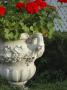 Geraniums In Urn, Saratoga Springs, New York, Usa by Lisa S. Engelbrecht Limited Edition Print