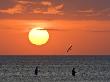 Fishermen Wading In Laguna Madre, Texas, Usa by Larry Ditto Limited Edition Print