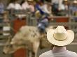 White Hat, Pink Shirt, Santa Barbara Rodeo by Eloise Patrick Limited Edition Print