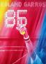 Roland Garros by Jacques Monory Limited Edition Pricing Art Print