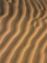 Close-Up Of Sand Dune Ripples With Tracks Of A Small Animal by Stephen Sharnoff Limited Edition Print