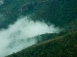 Fog Shrouded Valley In Lush Green Mountains Of Kenya by Beverly Joubert Limited Edition Print