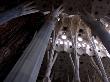 Looking Up In The Interior Of The Sagrada Familia Cathedral By Gaudi by Stephen Sharnoff Limited Edition Print
