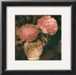 Imperial Peony I by Joann T. Arduini Limited Edition Print