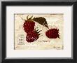 Raspberry by Steff Green Limited Edition Pricing Art Print