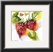 Raspberry by Andrea Brooks Limited Edition Pricing Art Print