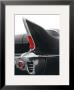 Black Tailfin by Matt Mccarthy Limited Edition Print