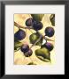 Italian Harvest, Figs by Doris Allison Limited Edition Pricing Art Print