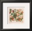 Buisson De Roses Ii by Laurence David Limited Edition Print