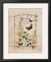 Primrose Butterfly by Consuelo Gamboa Limited Edition Print