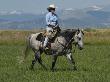 Woman Riding Quarter Horse, Colorado, Usa by Carol Walker Limited Edition Print