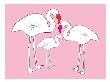 Pink Flamingo by Avalisa Limited Edition Print