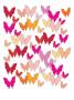 Warm Butterfly Pattern by Avalisa Limited Edition Print