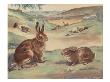 Woffly The Rabbit And Quick Ears The Hare by Eileen Soper Limited Edition Print