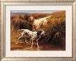 English Setters In A Marshland by Thomas Blinks Limited Edition Pricing Art Print