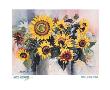 Country Sunflowers by Patricia Shilling-Stewart Limited Edition Print