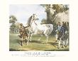 Darley Arabian, Roxana by Francis Calcraft Turner Limited Edition Print