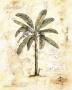 Palm Ii by Justin Coopersmith Limited Edition Print