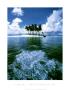 Truk, Micronesia by Volvox Limited Edition Print