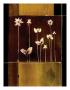 Flowers In Line Ii by Matteo Paul Limited Edition Print