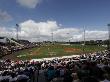 Baltimore Orioles V Detroit Tigers, Lakeland, Fl - March 04 by Leon Halip Limited Edition Print