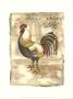 Tuscany Rooster Ii by Deborah Bookman Limited Edition Pricing Art Print
