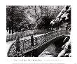 Pine Bank Arch, Central Park, 1996 by John Hall Limited Edition Pricing Art Print