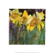 Daffodils by Shirley Trevena Limited Edition Pricing Art Print