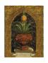 Ananassa Sativa by Walter Robertson Limited Edition Pricing Art Print