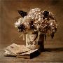 Estate Hydrangeas by Cristin Atria Limited Edition Pricing Art Print