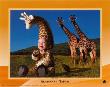 Imaginary Safari, Giraffe by Tom Arma Limited Edition Print